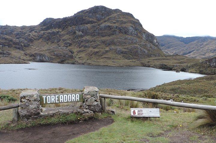 Shared Cajas National Park Full Day Tour