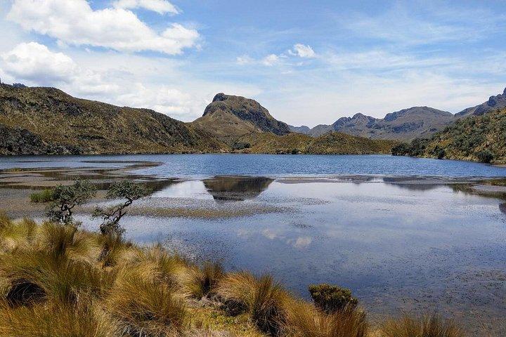 Shared Cajas National Park Full Day Tour