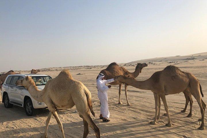Desert Safari Adventure 4 ore da Doha con ritiro