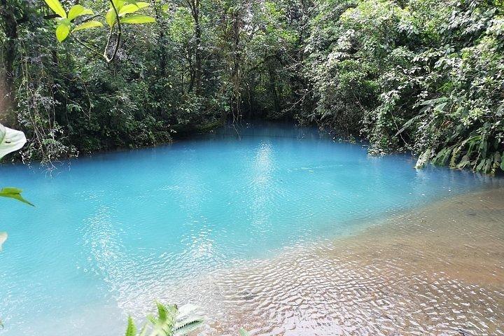 Río Celeste Waterfall and Sloth Watching Tour From Guanacaste