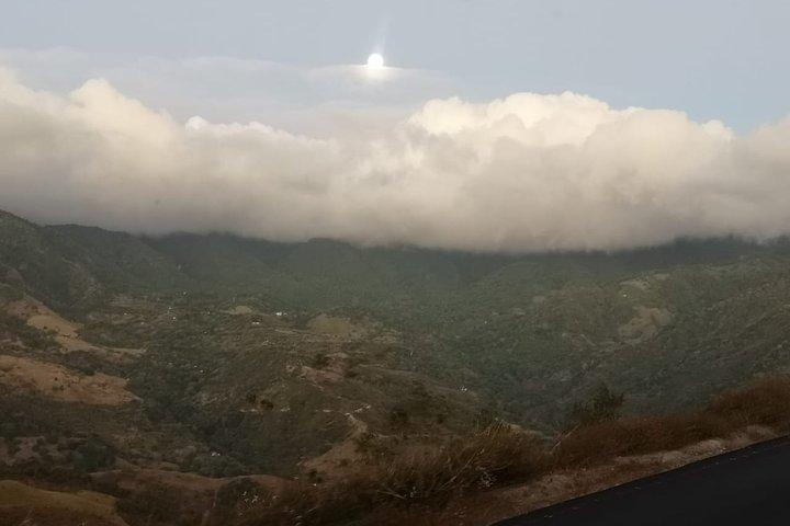 グアナカステからのモンテベルデ雲霧林ハイキングと吊り橋ツアー