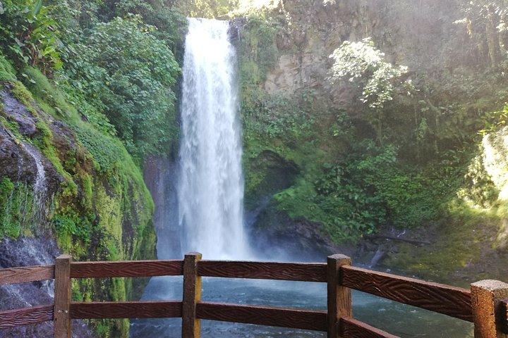 サンノゼからのポアス火山ラパス滝庭園とコーヒーツアー