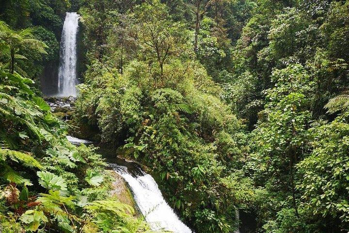 サンノゼからのポアス火山ラパス滝庭園とコーヒーツアー