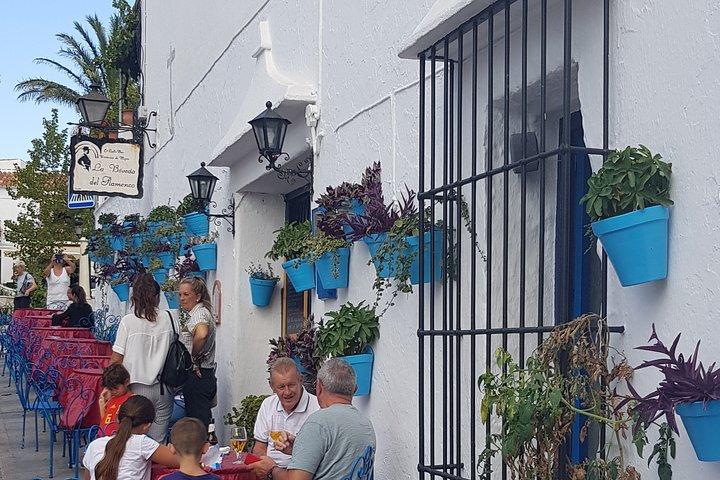 Malaga privata Escursione a terra: Malaga Highlights & Mijas White Washed Village