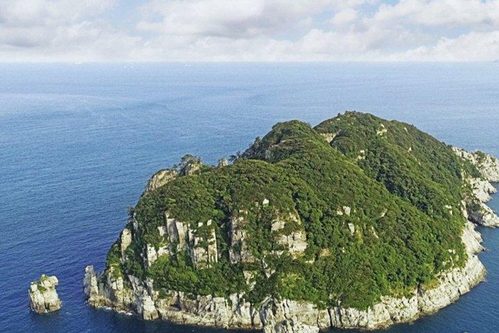Full-Day Private Tour in Busan with Tongyoung and Geoje