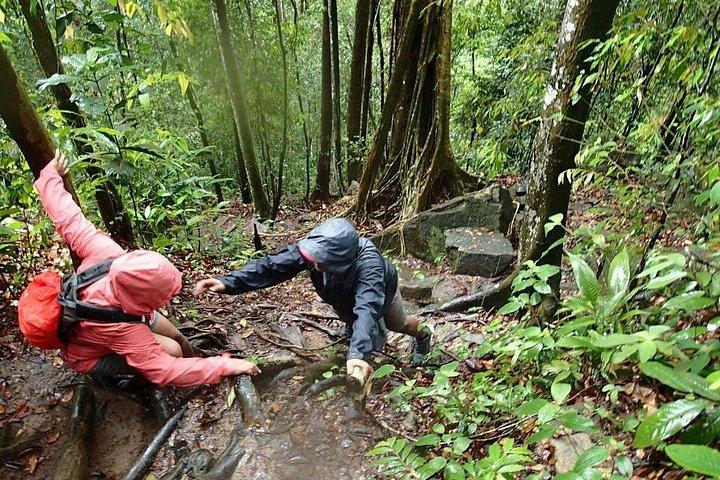 文化＆自然日帰りツアー：バトゥ洞窟、寺院公園＆滝