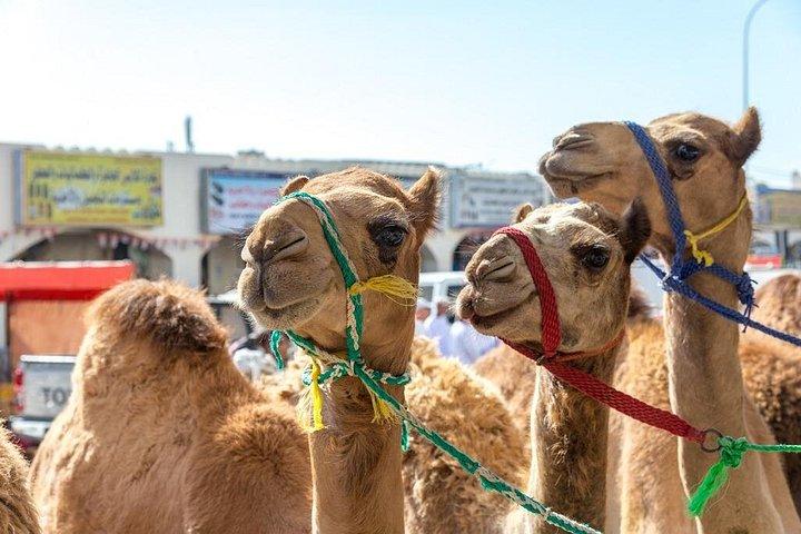 マスカットからのオリエントプライベートツアーの9日間のエッセンス