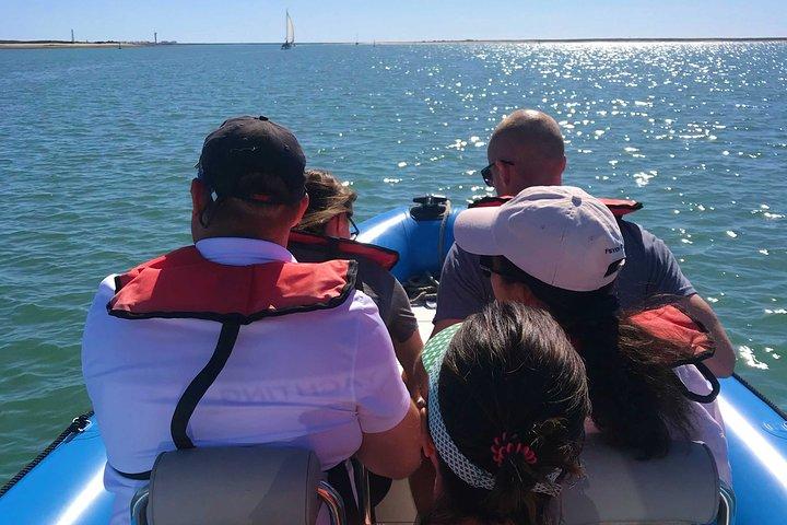 1 eller 2 timers speedbådstur - Ria Formosa