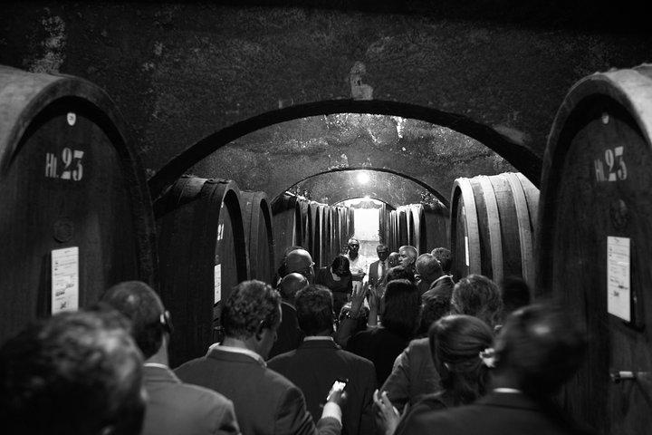 Adega Wine Tour