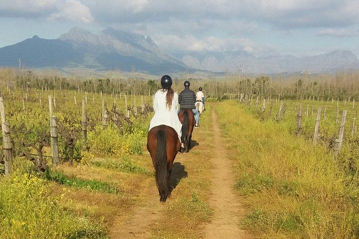 Safari naturalistico a cavallo