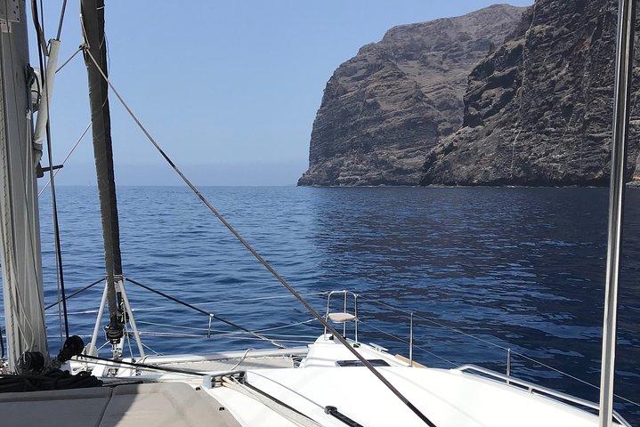 Los Cristianos : 高級ホエールウォッチスイムストップフード＆ドリンク