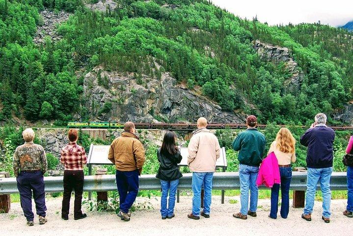 Excursion en bord de mer à Skagway : Excursion d'une demi-journée à la frontière du Yukon et au pont suspendu