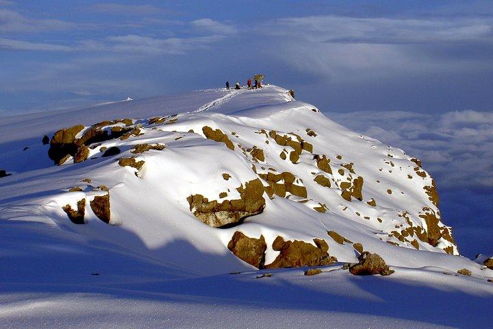 1 dag Marangu rute tur op til Mandara Hut | Kilimanjaro vandreture