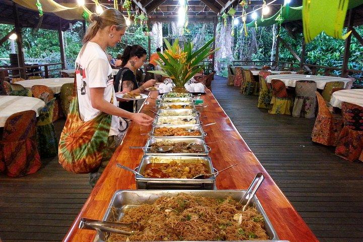 クリアスワイルドライフサファリリバークルーズ-テング猿とホタル