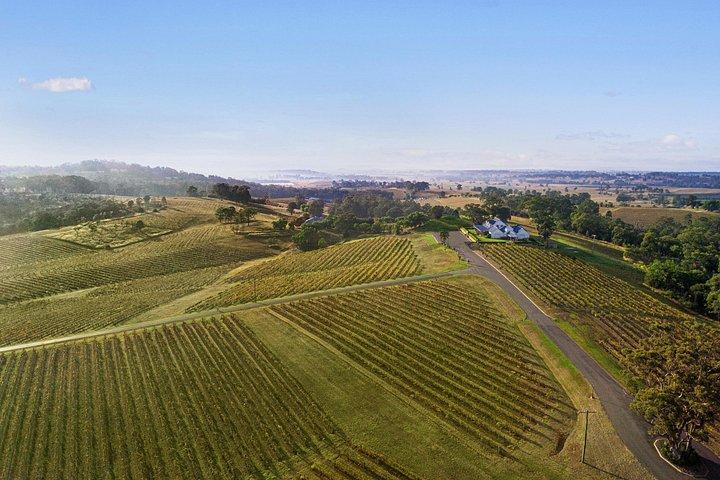 Audrey Wilkinson Vineyard: Fromage and Fortified Wine Experience