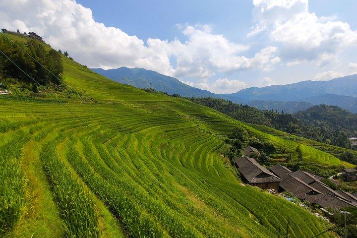 8-dages privat tur til Guilin, Yangtze River Cruise og Zhangjiajie