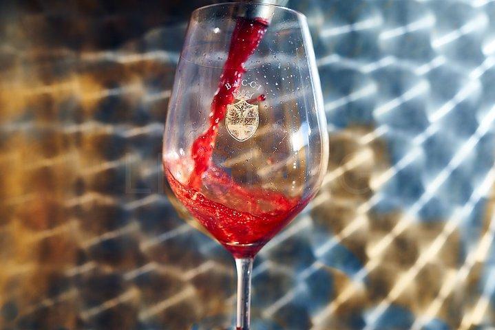 Complete tasting of Castello di Bossi