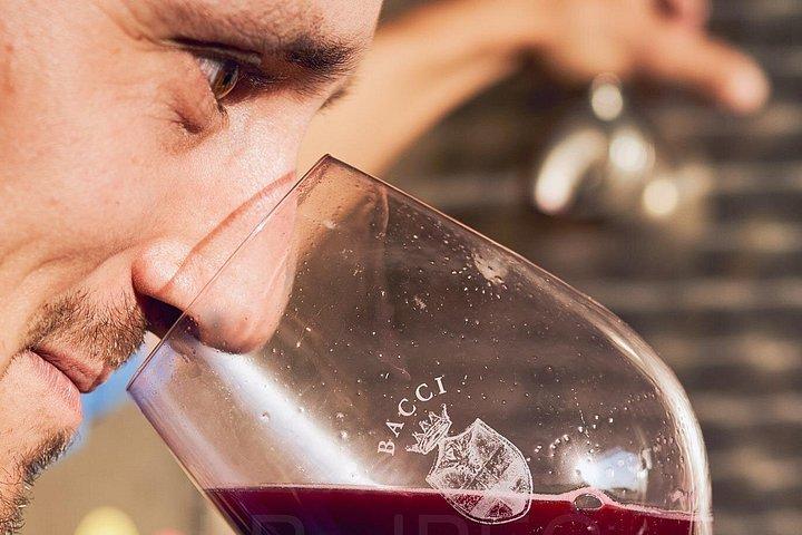 Complete tasting of Castello di Bossi