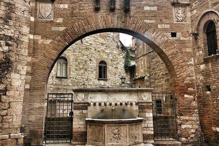 フィレンツェからのグルメランチ＆ワイン付きアッシジの終日