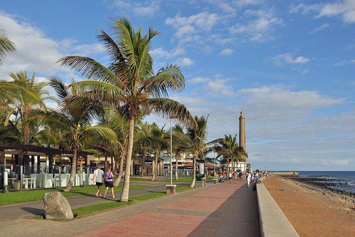 Rent a Mountain Bike from 4 hours until 7 Days explore Maspalomas
