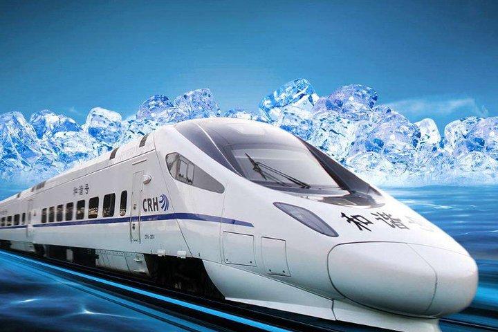 Hochgeschwindigkeitszug Erleben Sie eine ganztägige private Tour von Harbin ins Grüne