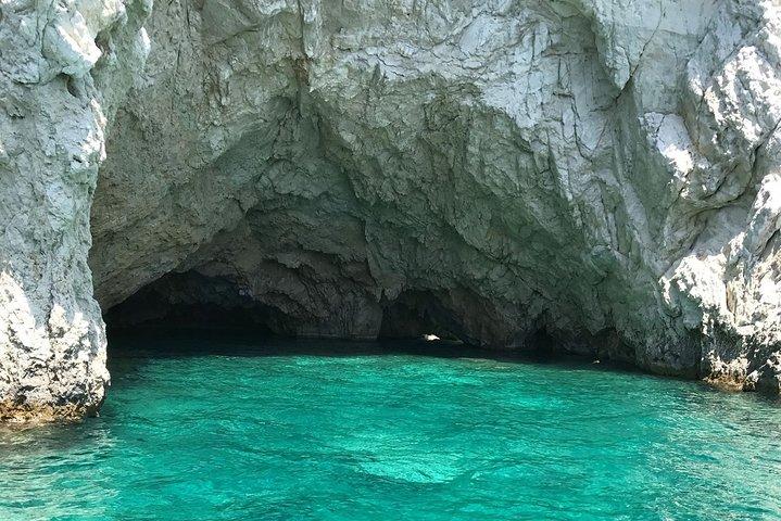 Turtle Sporting Cruise a Zante