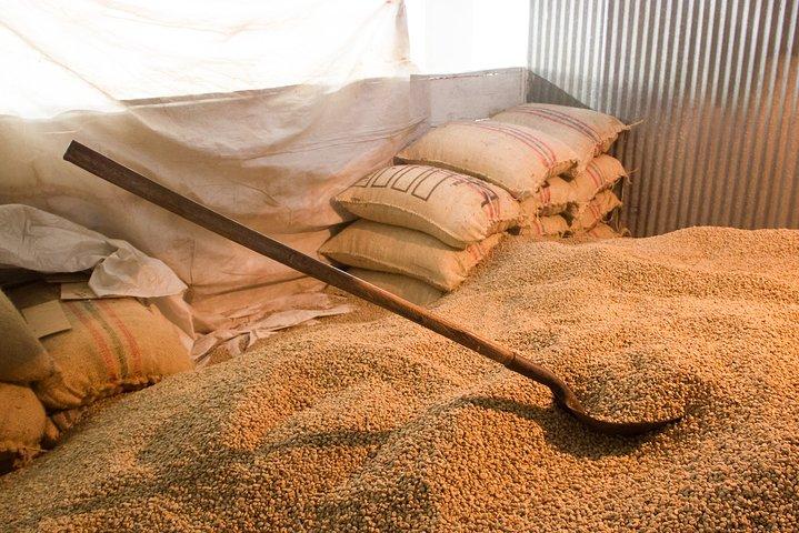 Tour a Minca + Cascadas + Hacienda Cafetera
