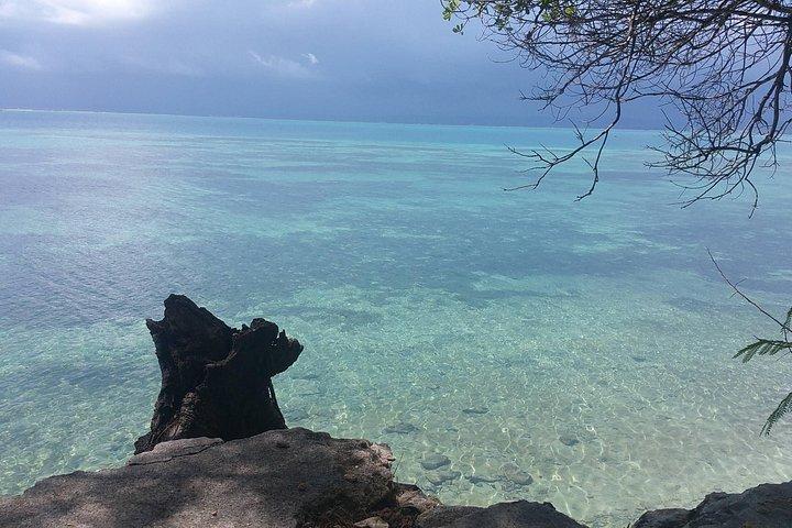 Prison Island Half-Day Tour from Zanzibar