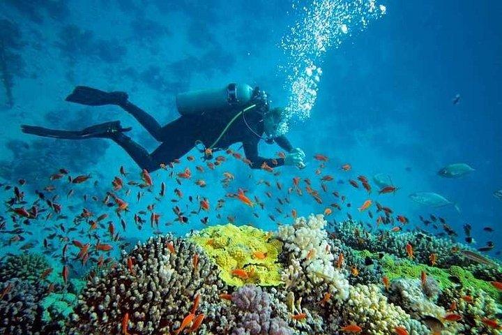 Prison Island Half-Day Tour from Zanzibar