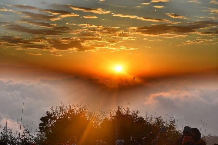 Day_Trippers (Darjeeling Heldagstur).