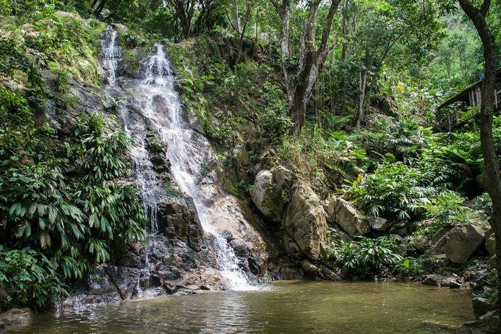 Tour a Minca + Cascadas + Hacienda Cafetera