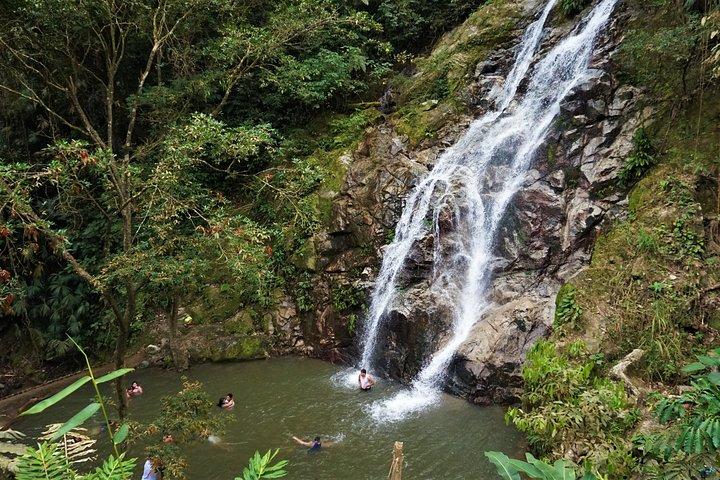 Minca, Wasserfälle und Kaffeefarm-Tour ab Santa Marta