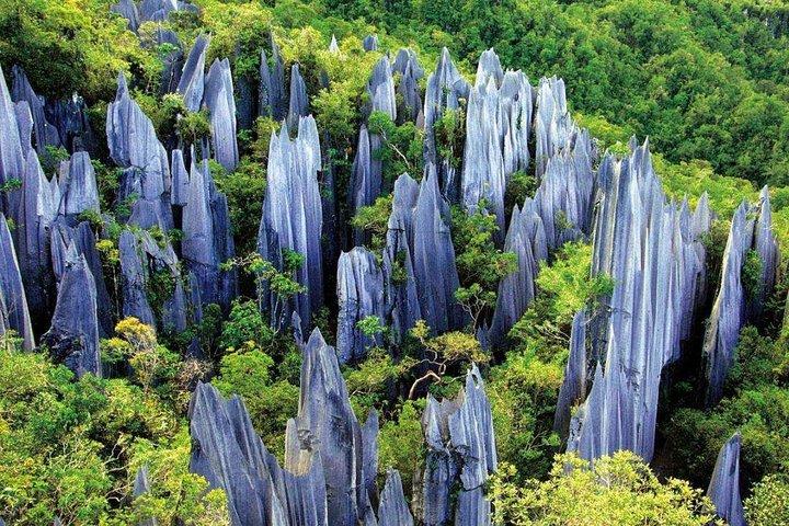 石の森とチェンジ古代の町への昆明プライベート日帰りツアー