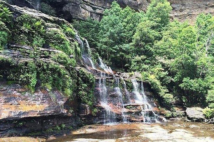 Blue Mountains Highlights & Wildlife Park