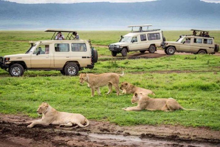 3-dages Mid-Range Lodge Safari til Tarangire, Lake Manyara & Ngorongoro Crater