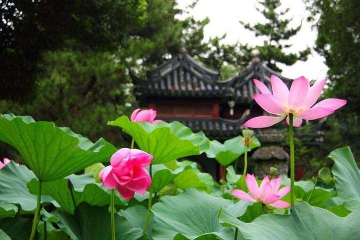 餃子の試飲を伴う4時間の南翔古鎮プライベートツアー