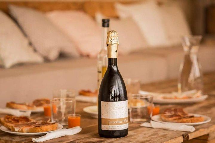 バルセロナ ポート ショア エクスカーション : 田舎のワインとカバのテイスティングとランチ