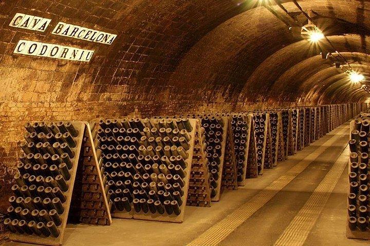 バルセロナ ポート ショア エクスカーション : 田舎のワインとカバのテイスティングとランチ
