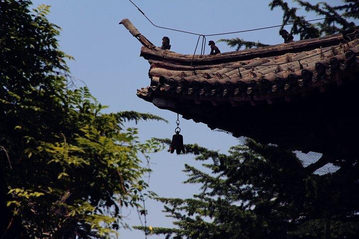 龍門石窟と白馬寺のある高速列車による洛陽エクスカーション