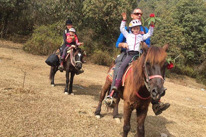 Day Pony Trek von Pokhara