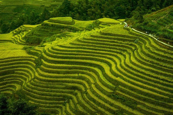 Terraced Field Impression og Minority People's Village Private Excursion Tour