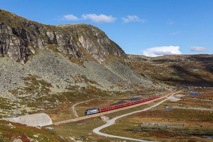 フロム鉄道を含むオスロからソグネフィヨルドへのプライベート全日往復