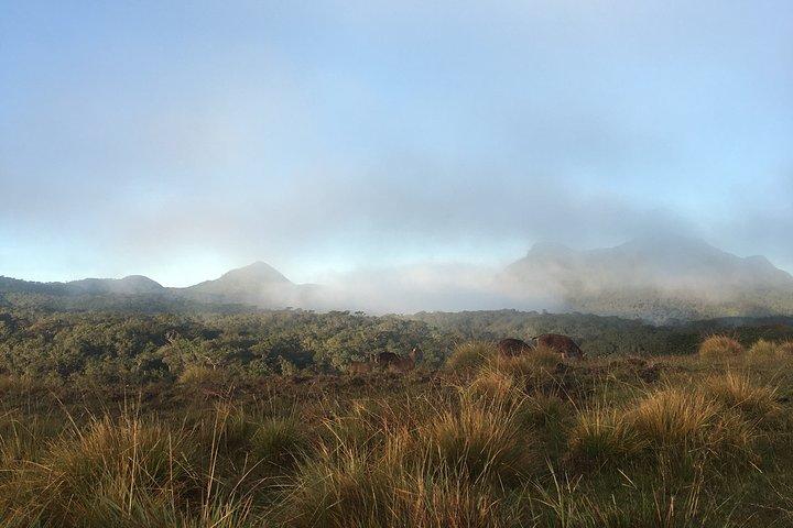 Tour privato nell'Horton Plains National Park e tour della fine del mondo con ritiro