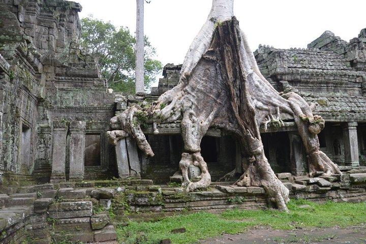 Excursão única de 3 dias a Siem Reap Angkor