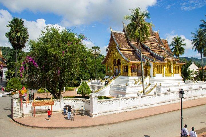 Ciudad de Luang Prabang, granja lechera Buffalo y cataratas Kuangsi - Tour privado de 1 día