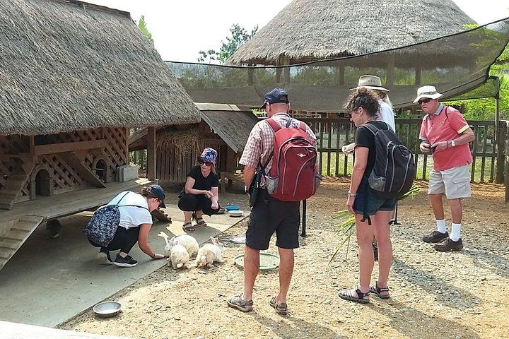 Luang Prabang City, Buffalo Dairy Farm und Kuangsi Falls - 1-tägige private Tour