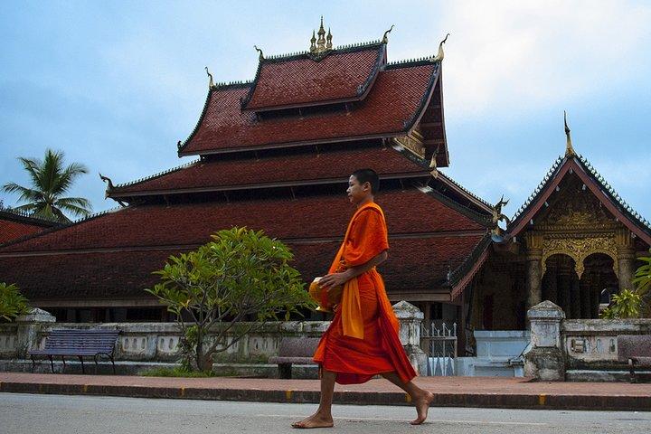 Luang Prabang City, Buffalo Dairy Farm und Kuangsi Falls - 1-tägige private Tour