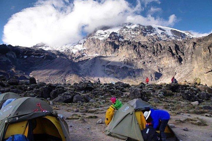 Machame 7 days Kilimanjaro climb