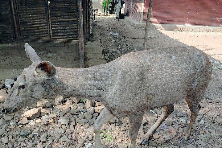 Visite guidée des grottes de Mumbai