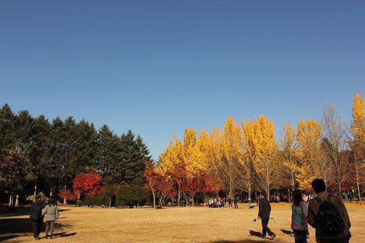 Private Tagestour Nami Island